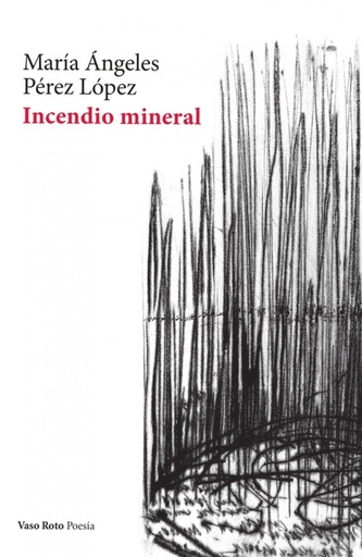 [9788412348750] Incendio mineral