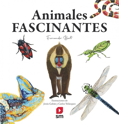 [9788413922188] Animales fascinantes