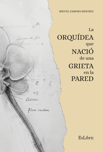 [9788419092496] La orquídea que nació de una grieta en la pared