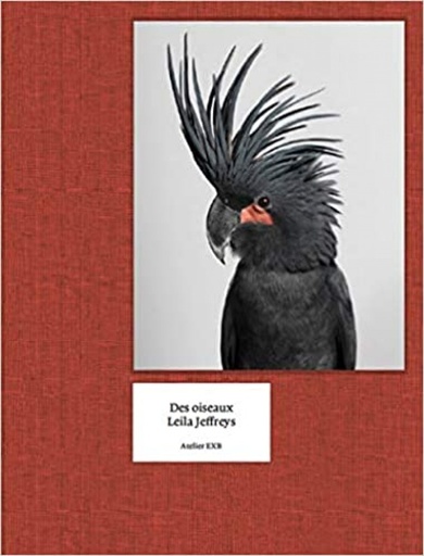 [9782365112581] Des Oiseaux