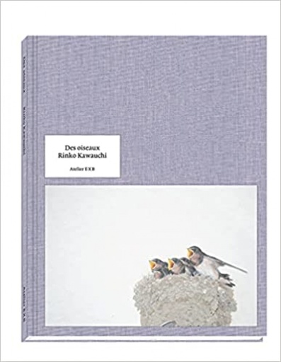 [9782365112772] DES OISEAUX