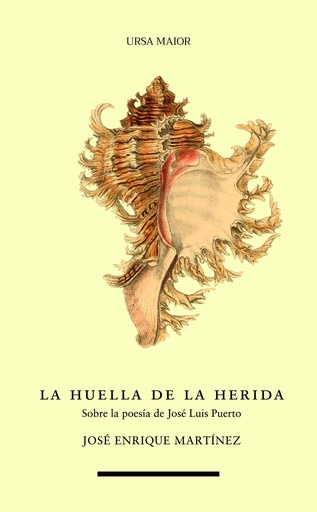 [9788418718618] La huella de la herida