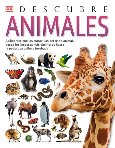 [9788418350610] Animales, Descubre