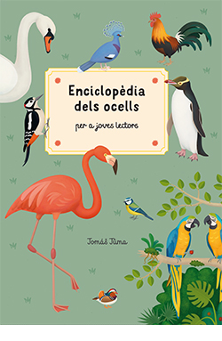 [9788419282019] Enciclopèdia dels ocells per a joves lectors