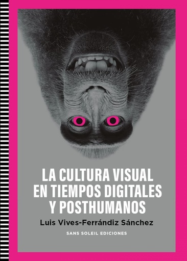 [9788412601510] Cultura Visual en tiempos digitales y posthumanos