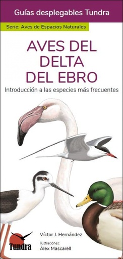 [9788418458941] AVES DEL DELTA DEL EBRO - GUIAS DESPLEGABLES TUNDRA