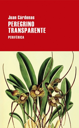 [9788418838620] Peregrino transparente