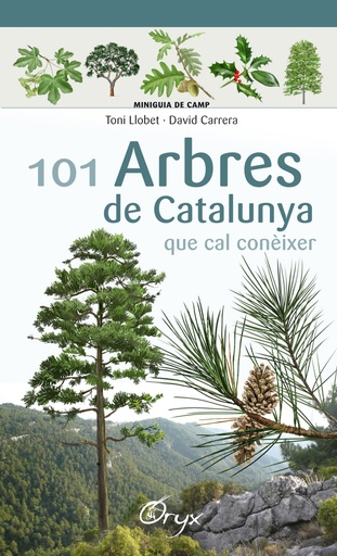 [9788490346778] 101 ARBRES DE CATALUNYA