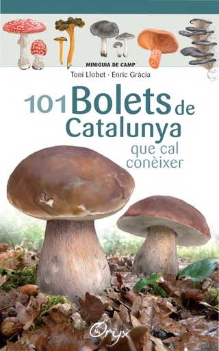 [9788490347096] 101 BOLETS DE CATALUNYA