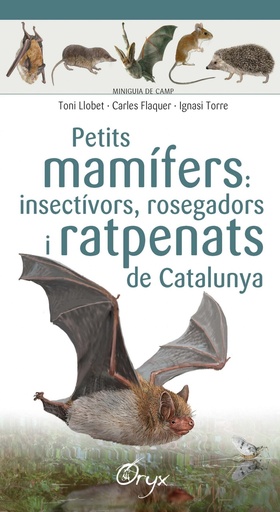 [9788490348956] Petits mamífers: insectívors, rosegadors i ratpenats de Catalunya