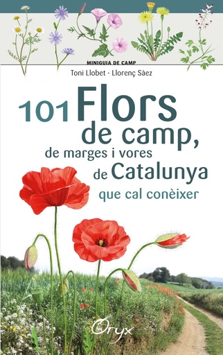 [9788490348413] 101 FLORS DE CAMP, DE MARGES I VORES DE CATALUNYA