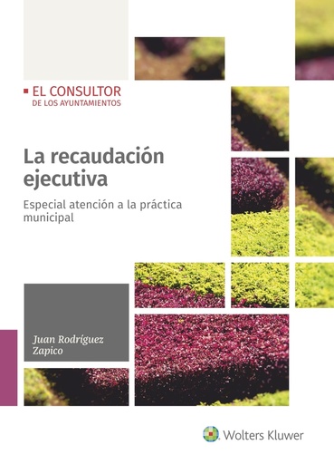 [9788470528965] La recaudación ejecutiva