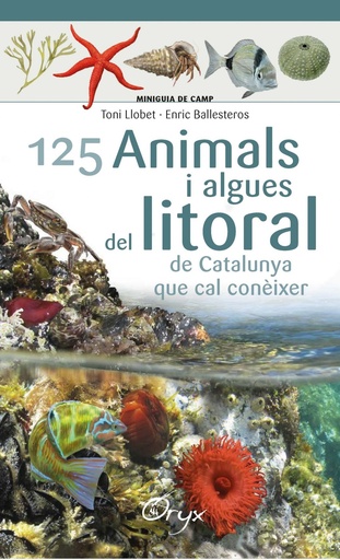 [9788490347416] ANIMALS I ALGUES DEL LITORAL DE CATALUNYA QUE CAL CONÉIXER