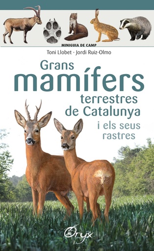 [9788490347881] GRANS MAMIFERS TERRESTRES DE CATALUNYA I ELS SEUS RASTRES