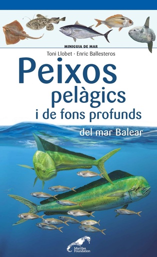 [9788490349397] Peixos pelàgics i de fons profunds del mar Balear