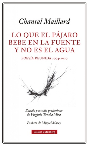 [9788418807633] Lo que el pájaro bebe en la fuente y no es el agua