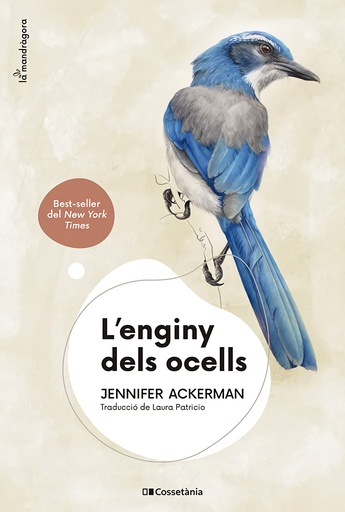 [9788413562544] LENGINY DELS OCELLS