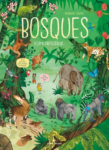 [9788419158307] Bosques... y cómo protegerlos