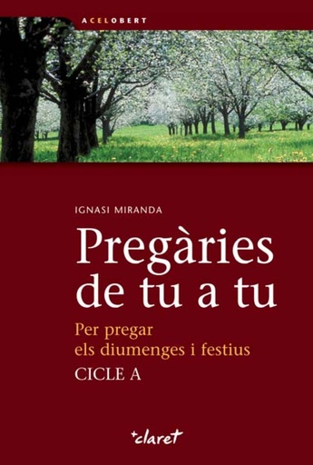 [9788498464313] Pregàries de tu a tu. Cicle A