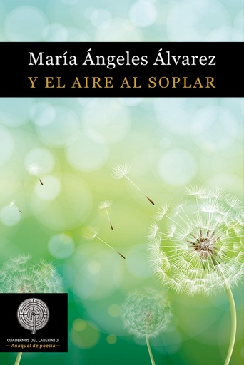 [9788412002461] Y EL AIRE AL SOPLAR