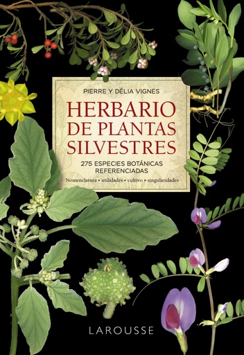 [9788418473999] Herbario de plantas silvestres