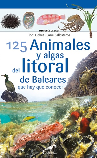 [9788413562711] 125 Animales y algas del litoral de Baleares que hay que conocer