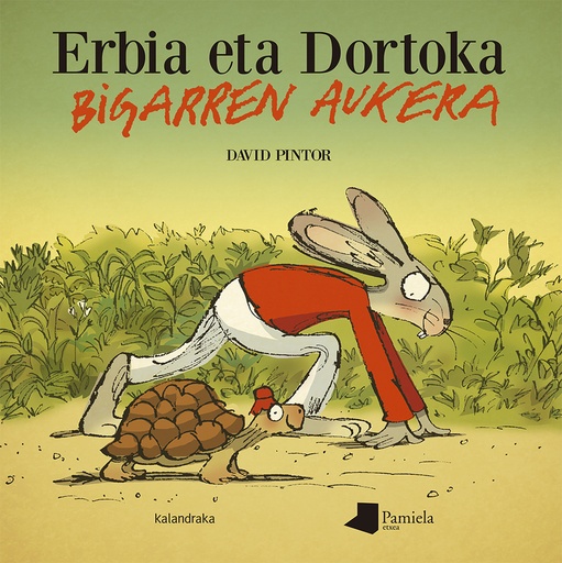 [9788491723370] Erbia eta Dortoka. Bigarren aukera