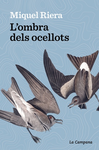 [9788419245175] L´ombra dels ocellots