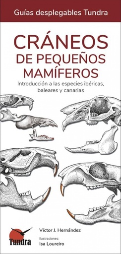 [9788419624185] CRANEOS DE PEQUEÑOS MAMIFEROS - GUIAS DESPLEGABLES TUNDRA