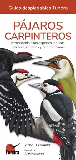 [9788419624192] PAJAROS CARPINTEROS