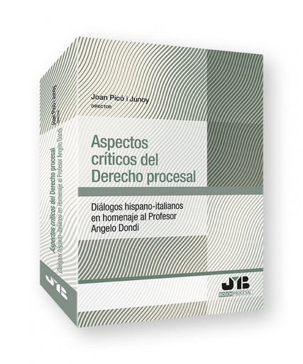 [9788419580689] Aspectos críticos del Derecho procesal