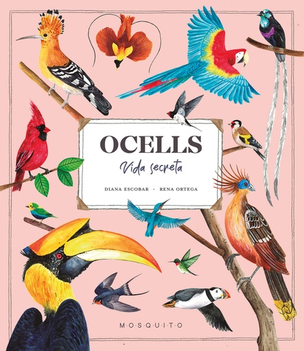 [9788419095534] Ocells. Vida Secreta