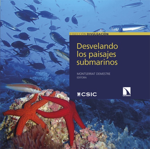 [9788413528441] Desvelando los paisajes submarinos