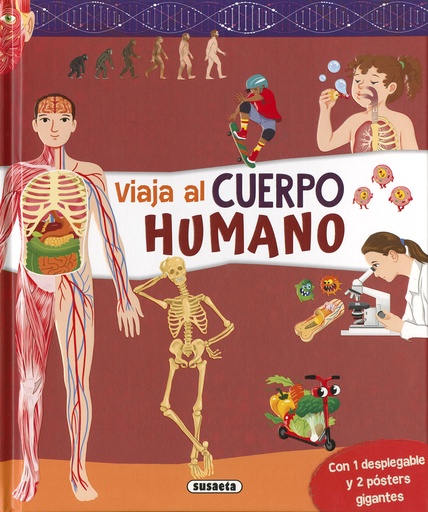 [9788467799866] Cuerpo humano