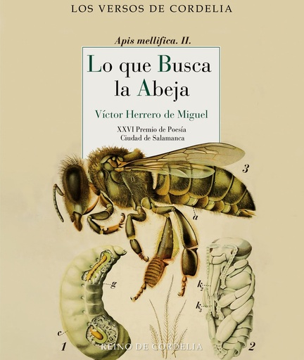 [9788419124685] Lo que busca la abeja