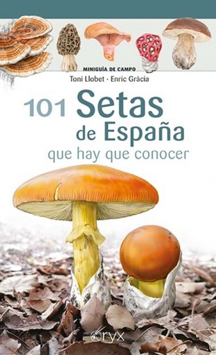 [9788418735080] 101 Setas de España