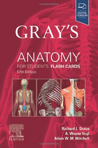 [9780443105142] Gray´s anatomy for students flash cards