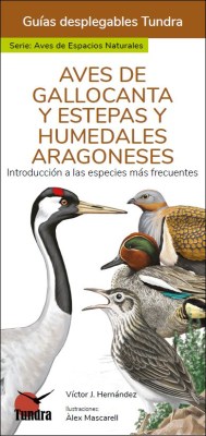 [9788419624017] AVES DE GALLOCANTA Y ESTEPAS Y HUMEDALES ARAGONESES - GUIAS DESPLEGABLES TUNDRA