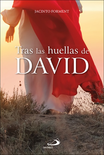 [9788428570541] Tras las huellas de David