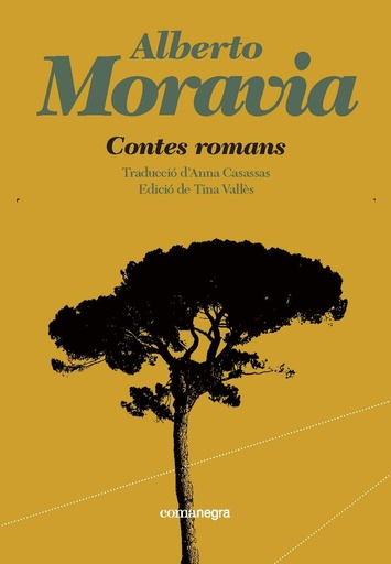 [9788419590893] Contes romans