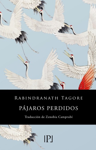 [9788418082467] Pájaros perdidos (Sentimientos)