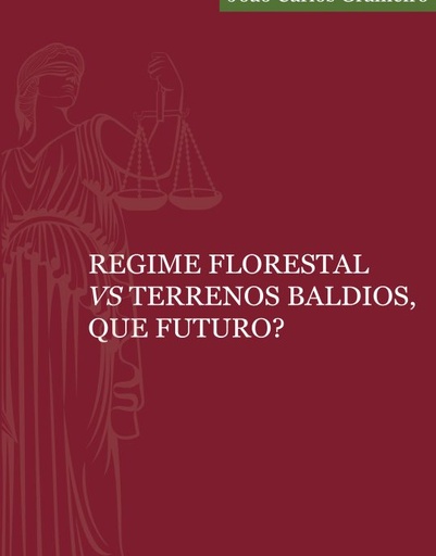 [9789899092693] Regime florestal vs terrenos baldios, que futuro?