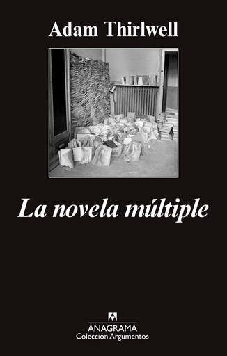 [9788433963734] La novela múltiple