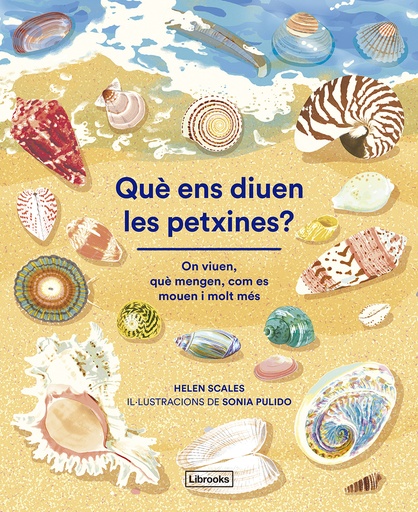 [9788412826500] Què ens diuen les petxines?